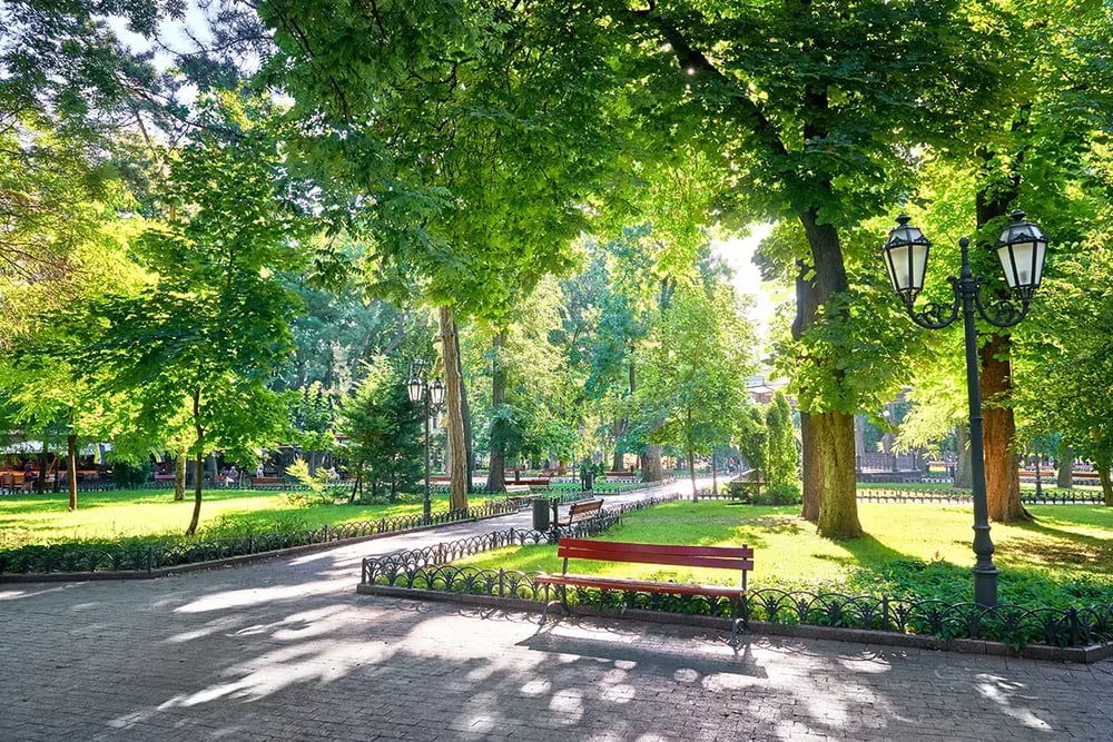 AdobeStock_116353621 (1) copy