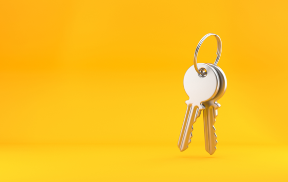 The Key to Security: Balancing Digital and Physical Access